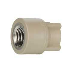 联塑（LESSO）内螺纹直接头Ⅱ型(PP-R 配件)灰色 dn32X1＂