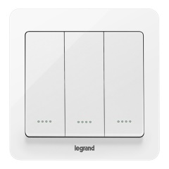 罗格朗 LEGRAND 开关插座面板 逸典玉兰白双开单控带荧光开关