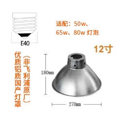 飞利浦LED中低天棚灯泡24w40W50w65W80w车间LED工矿灯泡